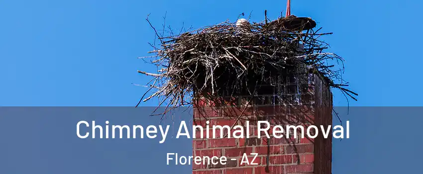  Chimney Animal Removal Florence - AZ