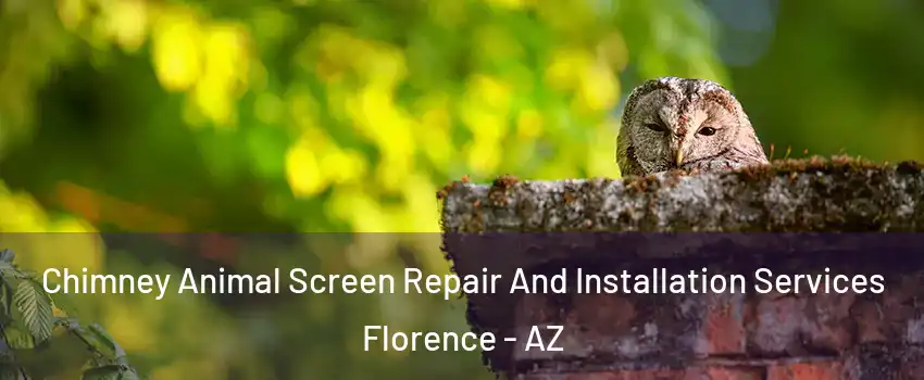  Chimney Animal Screen Repair And Installation Services Florence - AZ