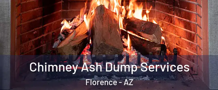  Chimney Ash Dump Services Florence - AZ