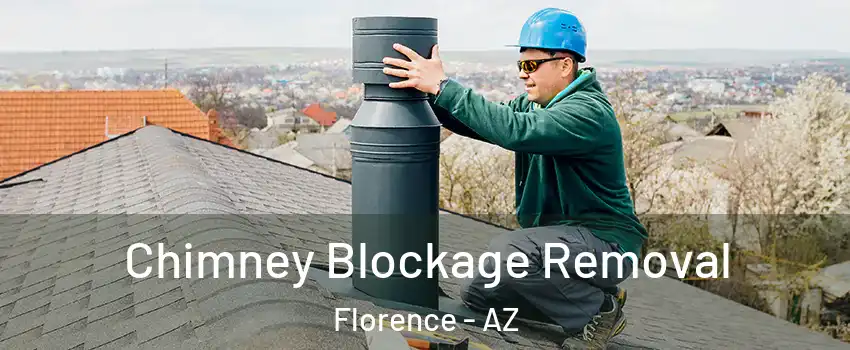  Chimney Blockage Removal Florence - AZ