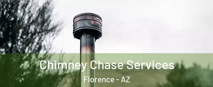  Chimney Chase Services Florence - AZ