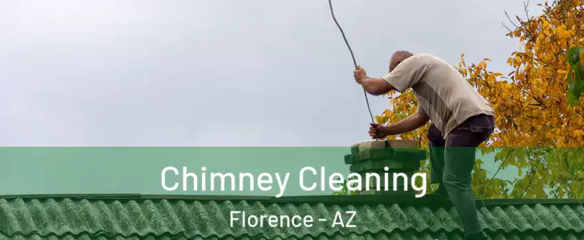  Chimney Cleaning Florence - AZ