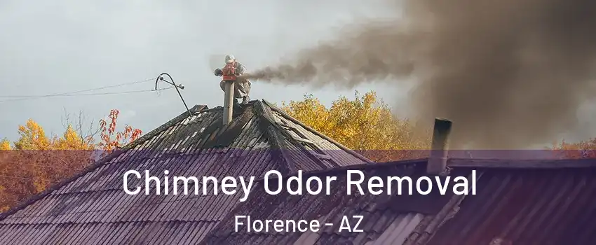  Chimney Odor Removal Florence - AZ