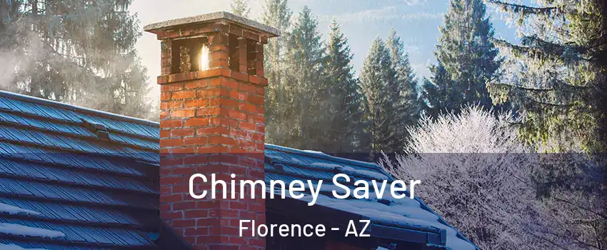  Chimney Saver Florence - AZ