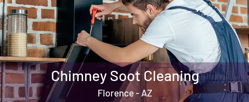 Chimney Soot Cleaning Florence - AZ