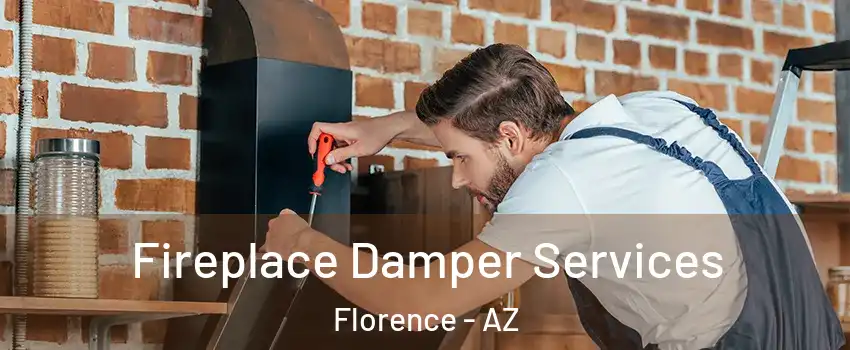  Fireplace Damper Services Florence - AZ
