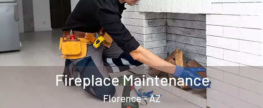  Fireplace Maintenance Florence - AZ