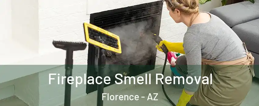  Fireplace Smell Removal Florence - AZ