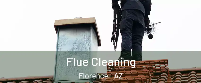  Flue Cleaning Florence - AZ