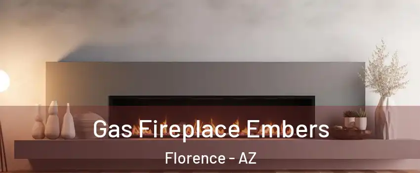  Gas Fireplace Embers Florence - AZ