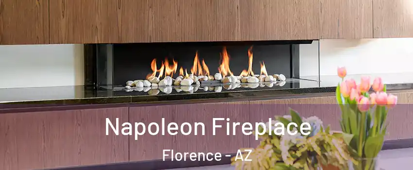  Napoleon Fireplace Florence - AZ